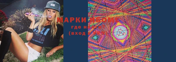 PSILOCYBIN Вязьма